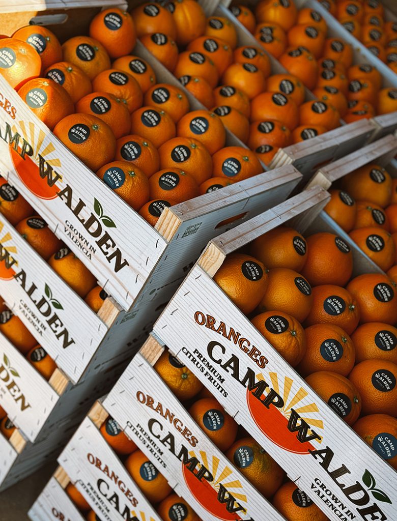 galeria-inicio-campwalden-01