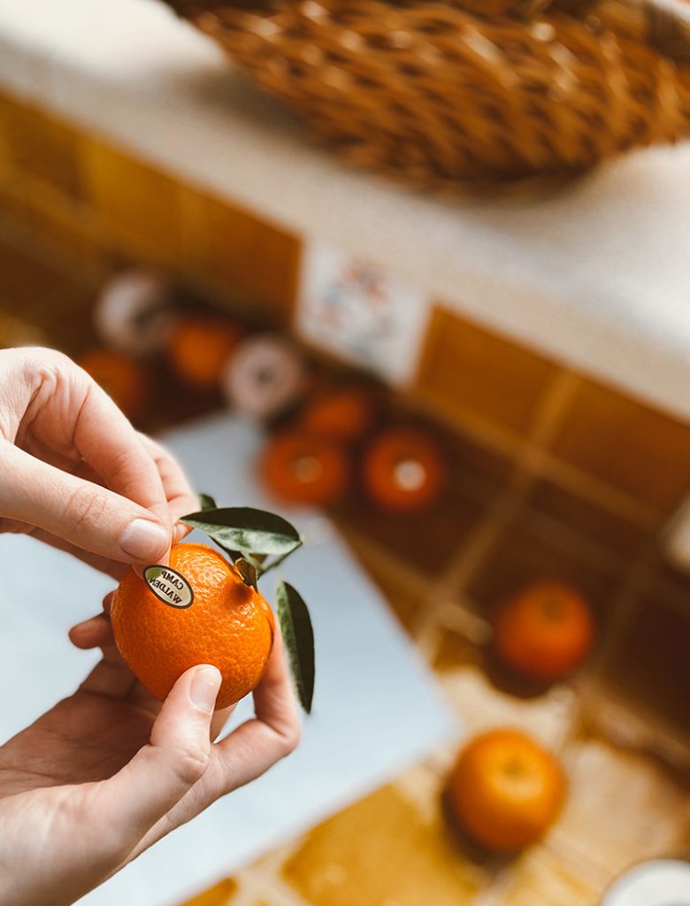 galeria-inicio-campwalden-02