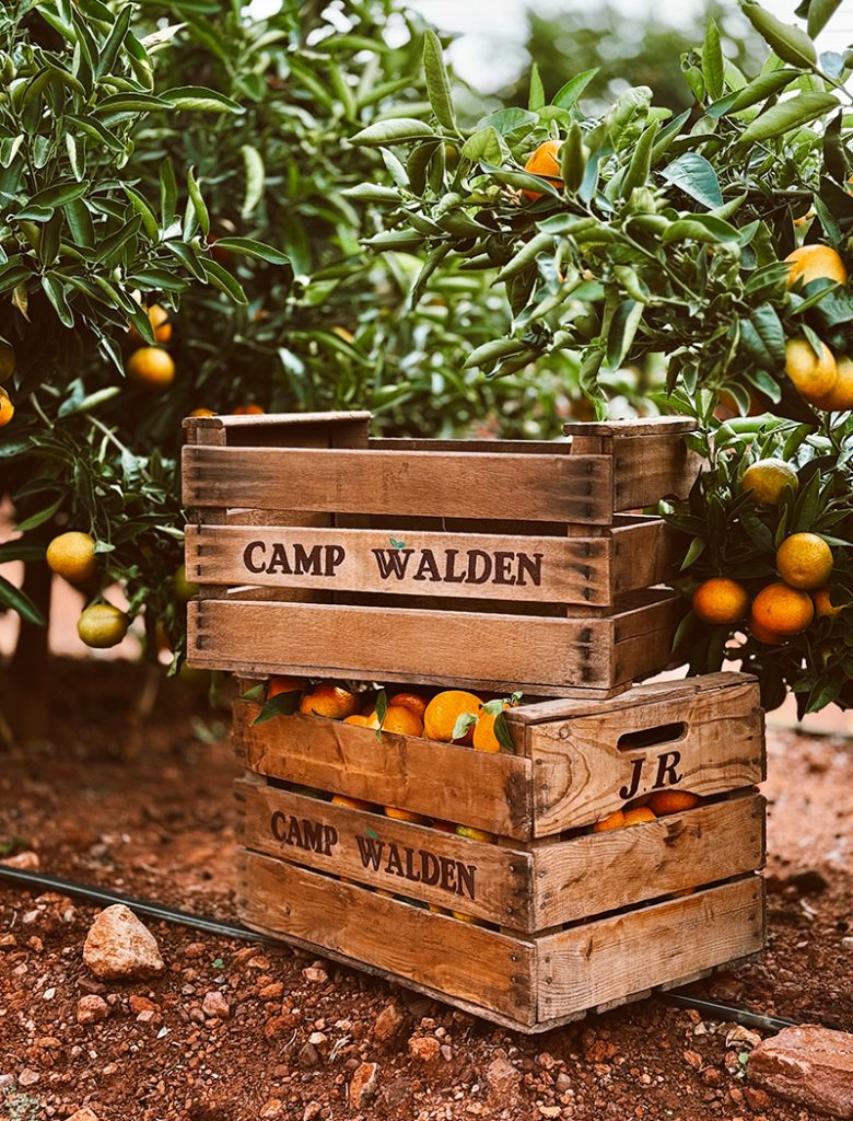 galeria-inicio-campwalden-04