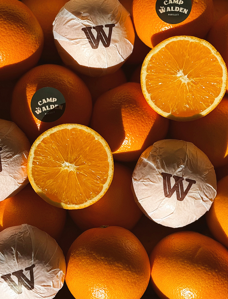 galeria-inicio-campwalden-05