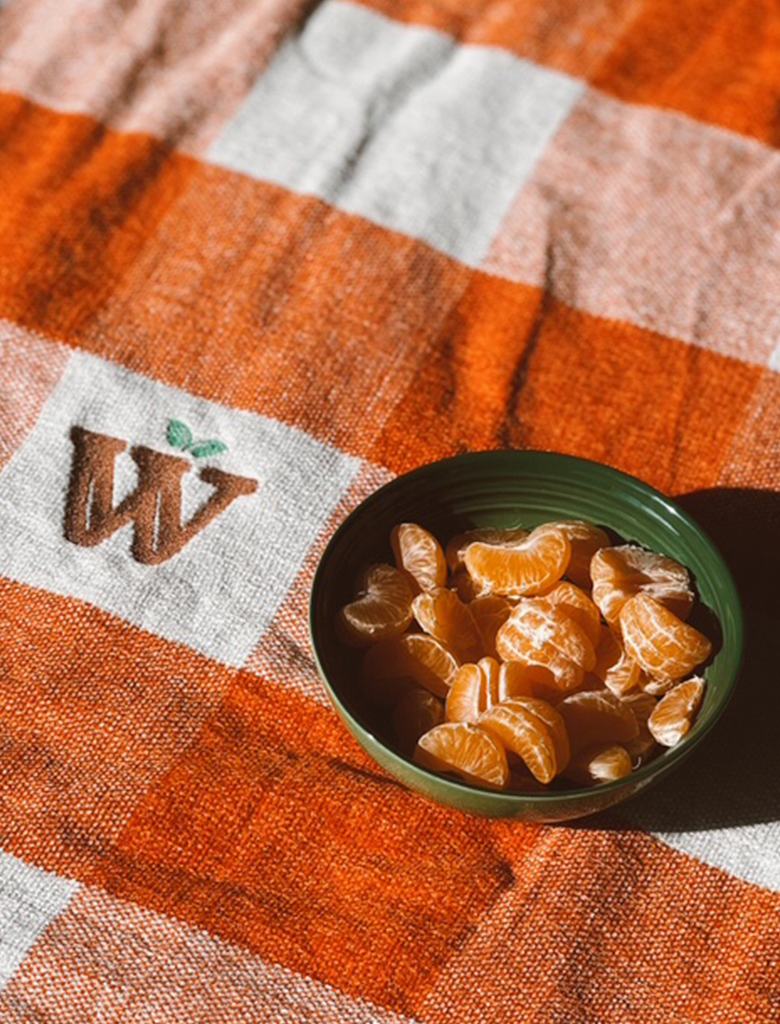 galeria-inicio-campwalden-06