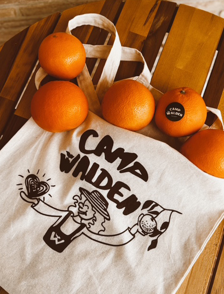 galeria-inicio-campwalden-07