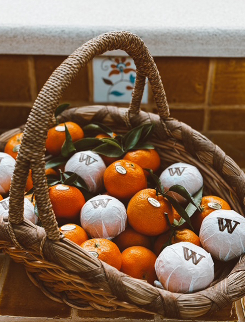 galeria-inicio-campwalden-08