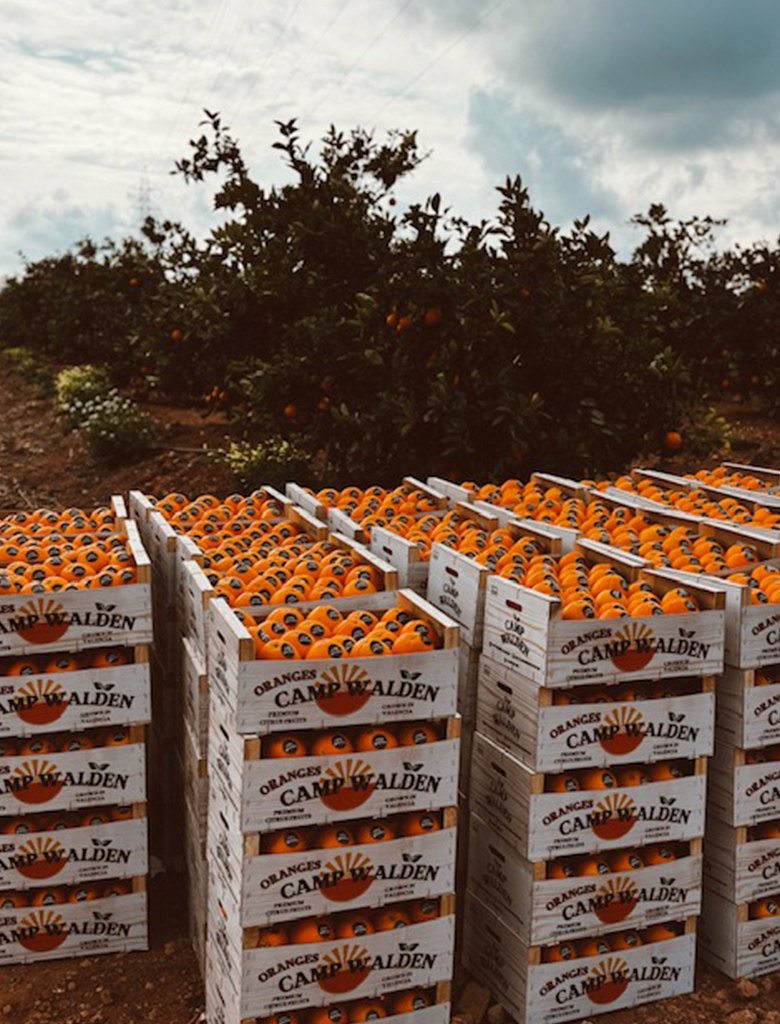 galeria-inicio-campwalden-09