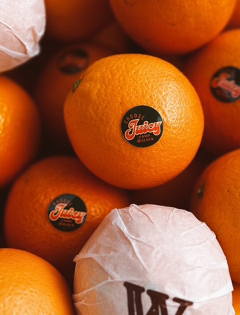 galeria-inicio-campwalden-11